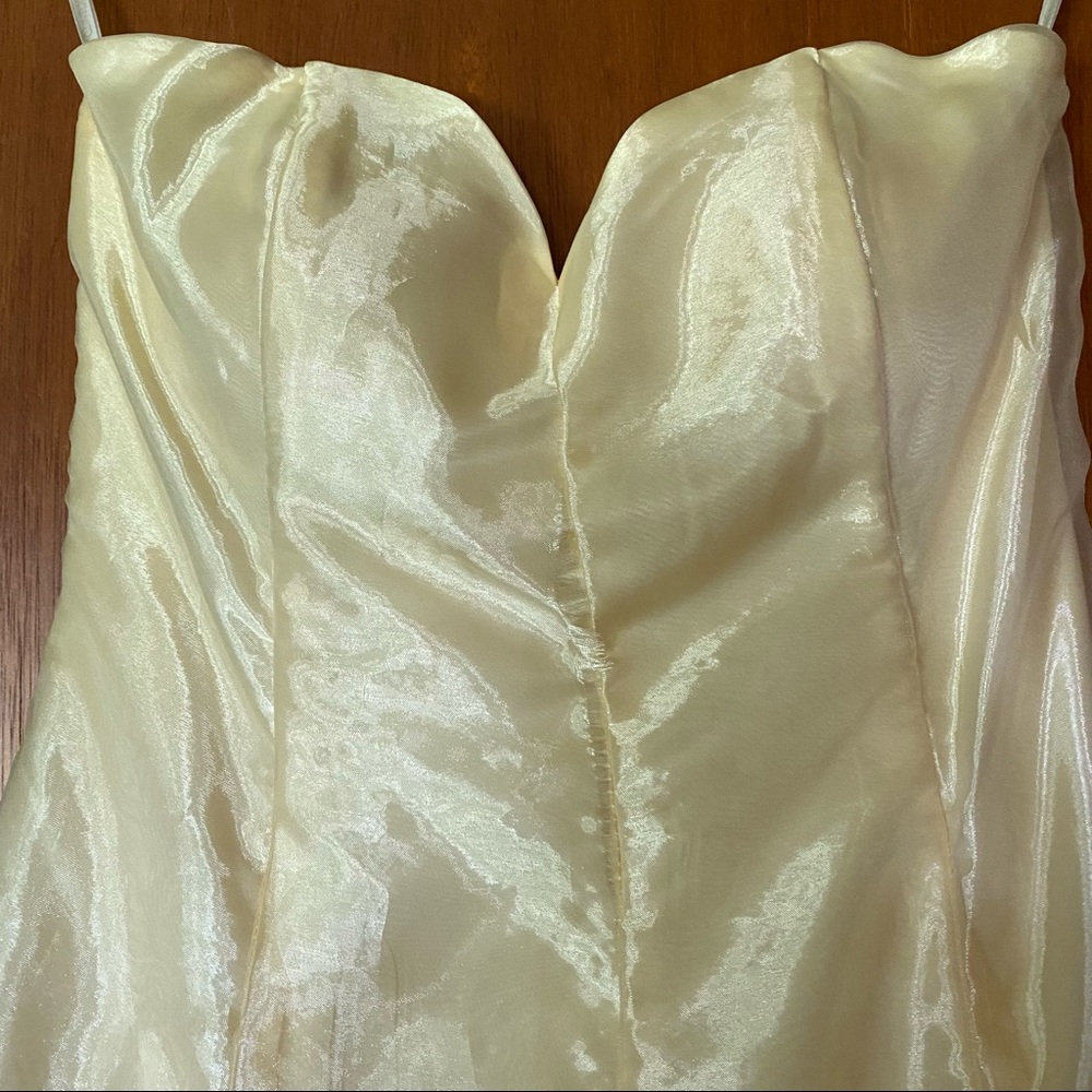 Jessica McClintock evening gown